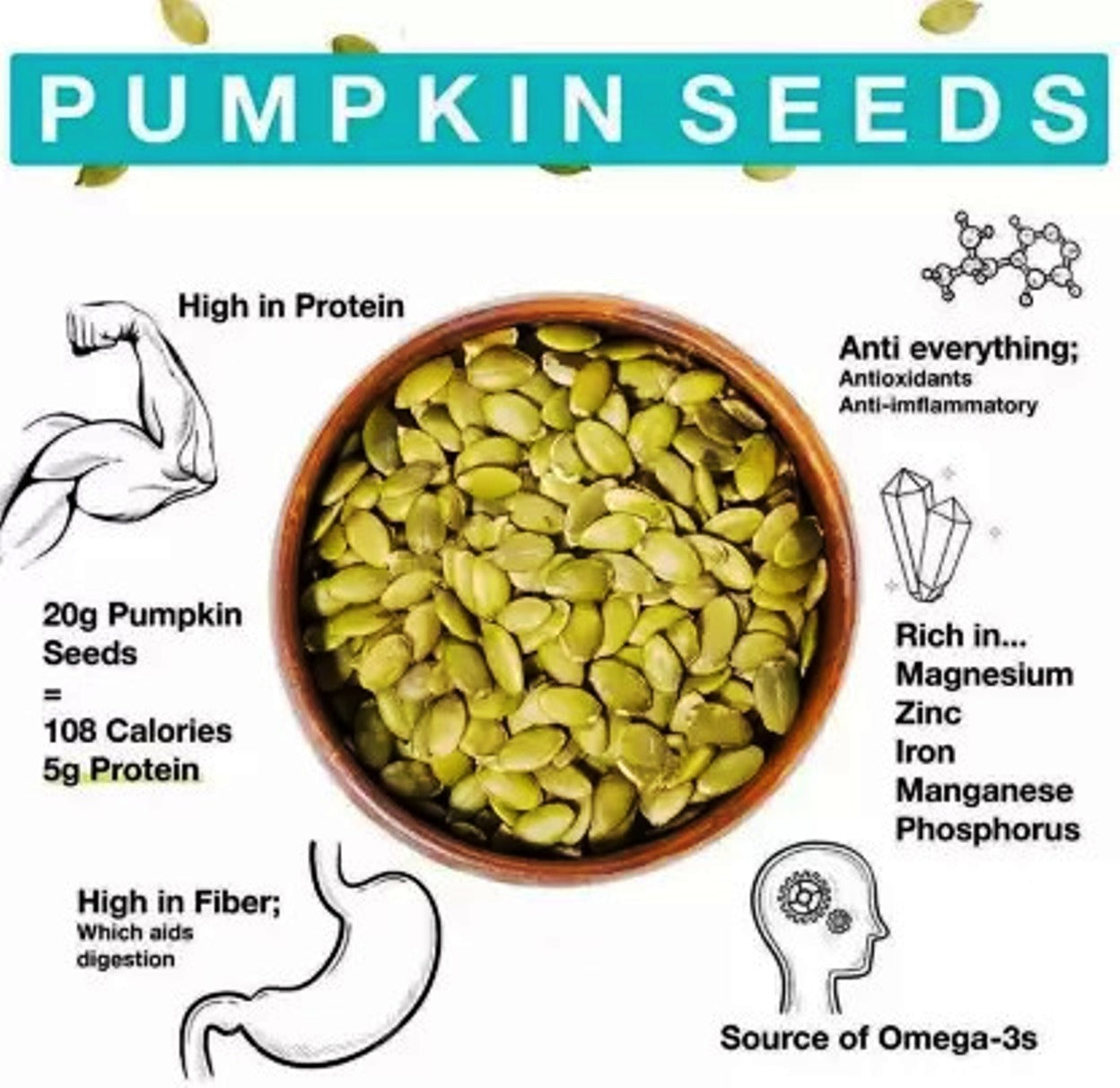 Chastity High Protein & Fiber Raw Pumpkin Seeds for Weight Loss Management 100gm